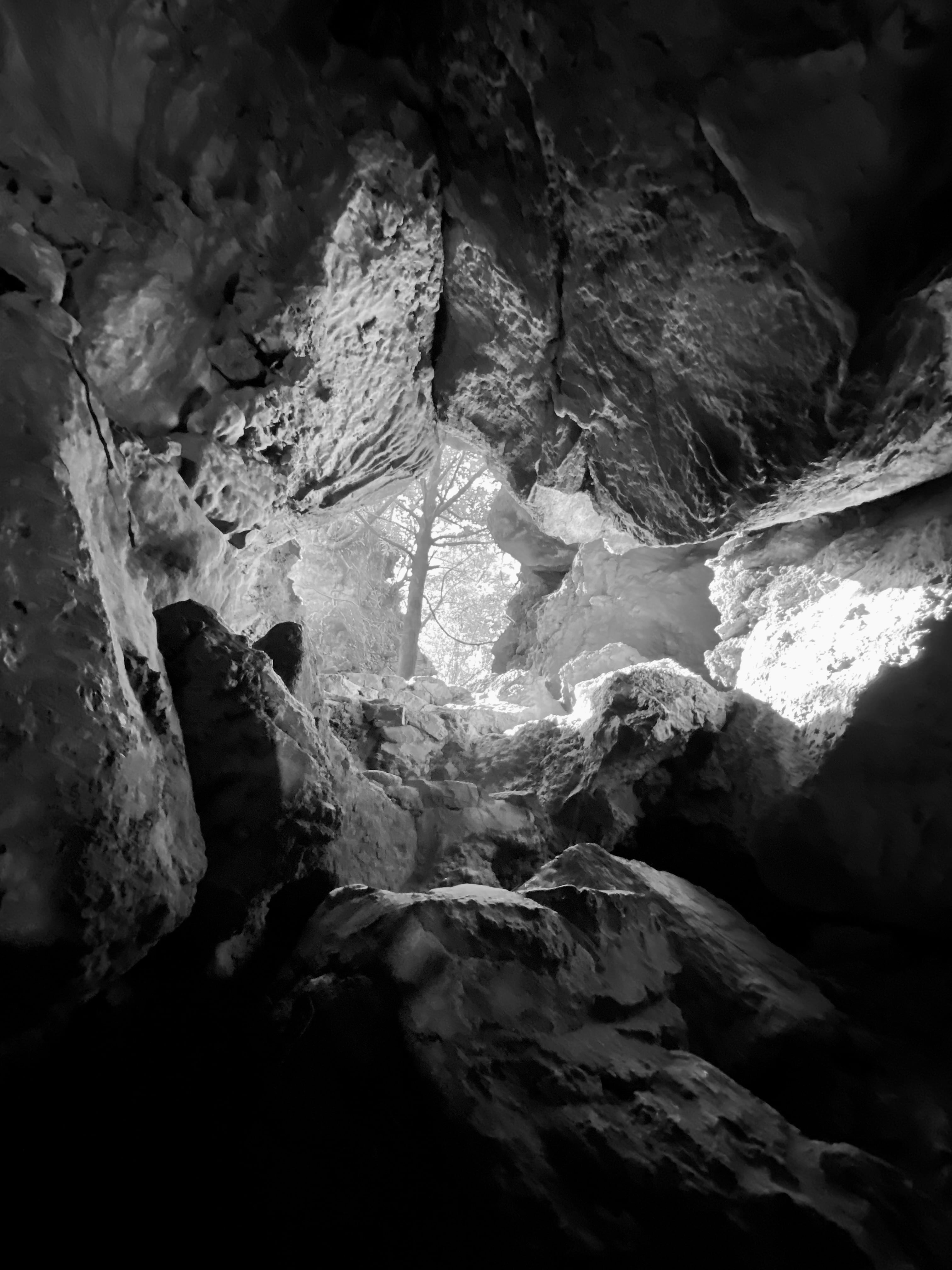 Gallery image 8
